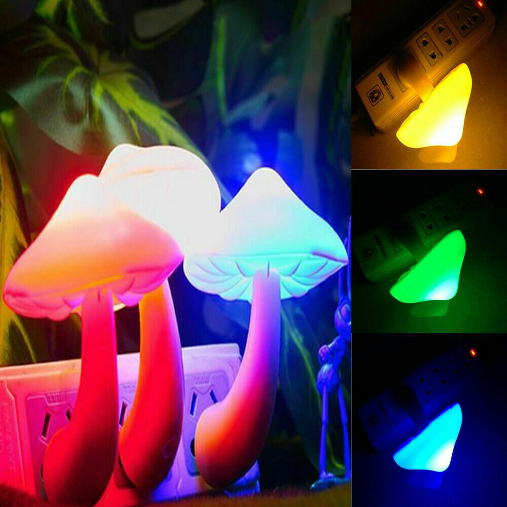 20942ccea5708c6060de2ac8d3371963